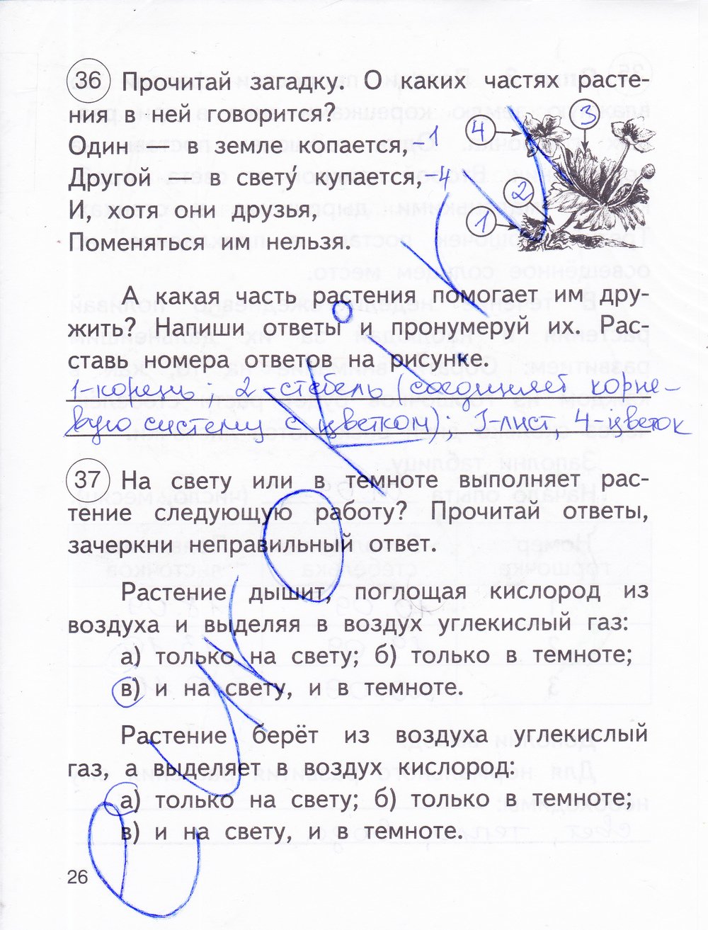Гдз по окружающему 2 класс 2 часть федотова Гдз по окружающему 2 класс 2 часть федотова