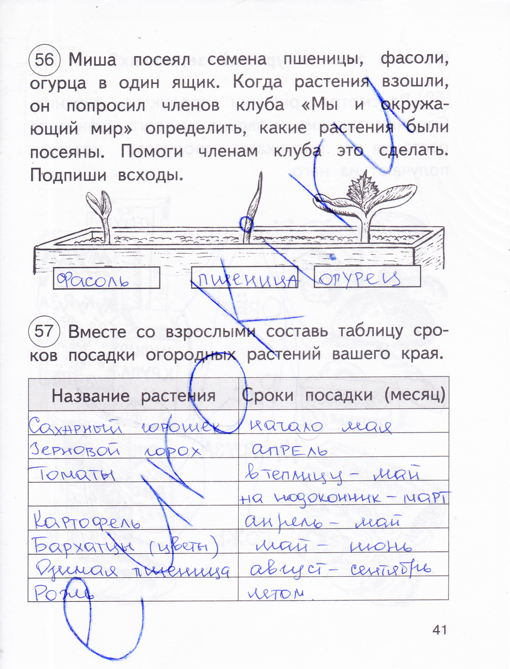 Гдз по окр миру 2 класс федотова 2 часть ответы Гдз По Окр Миру 2 Класс Федотова 2 Часть Ответы