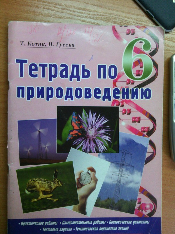 Тетрадь по природоведению 6 класс котик гусева