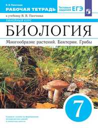 Решите систему уравнений номер 495 534 решение