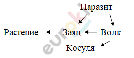 Снимок.PNG