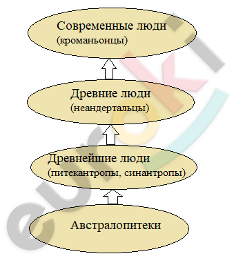 A picture containing text, screenshot, font Description automatically generated