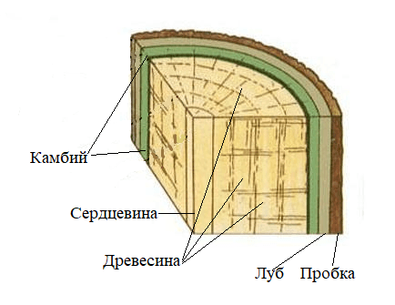 Diagram Description automatically generated