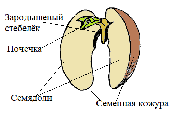 Diagram Description automatically generated