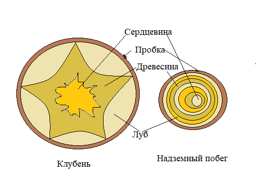 Diagram, schematic Description automatically generated