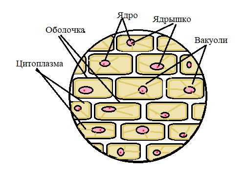 Diagram Description automatically generated