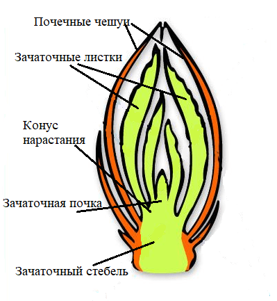 Diagram Description automatically generated