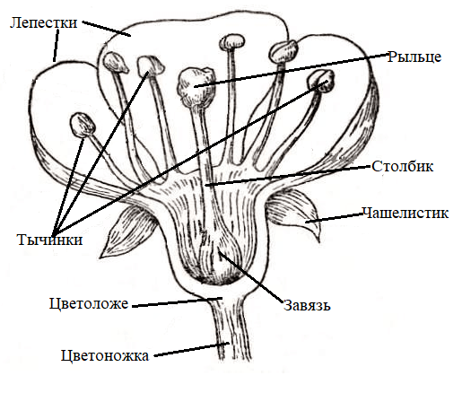 Diagram Description automatically generated