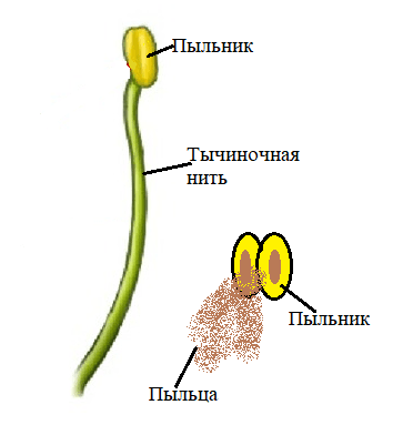 Diagram Description automatically generated