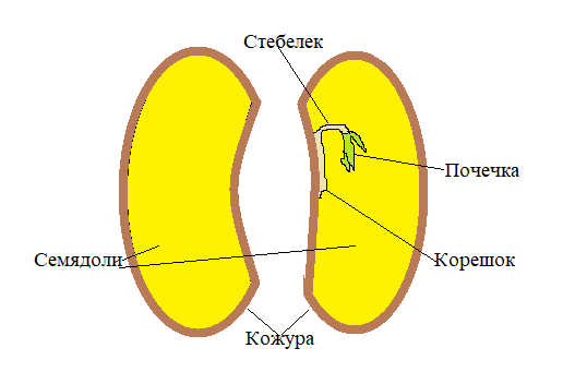 Diagram Description automatically generated