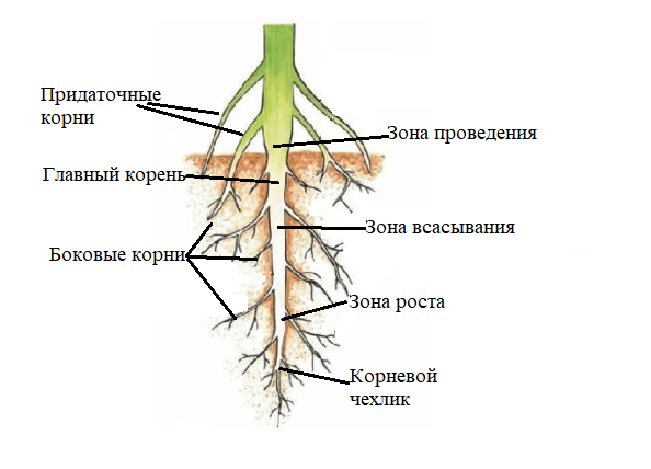 Diagram Description automatically generated