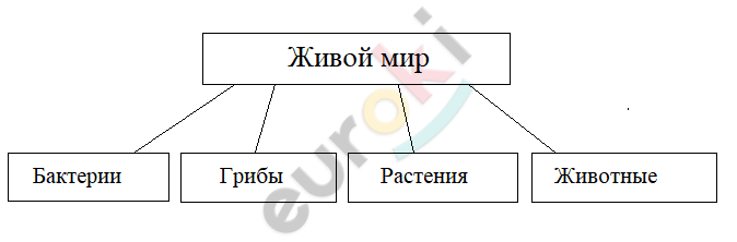 Биология 6 класс пономарев 17 параграф. Что изучает ботаника выбери правильные ответы. Какие живые организмы изучает ботаника. Схема царства живого ДЗ.