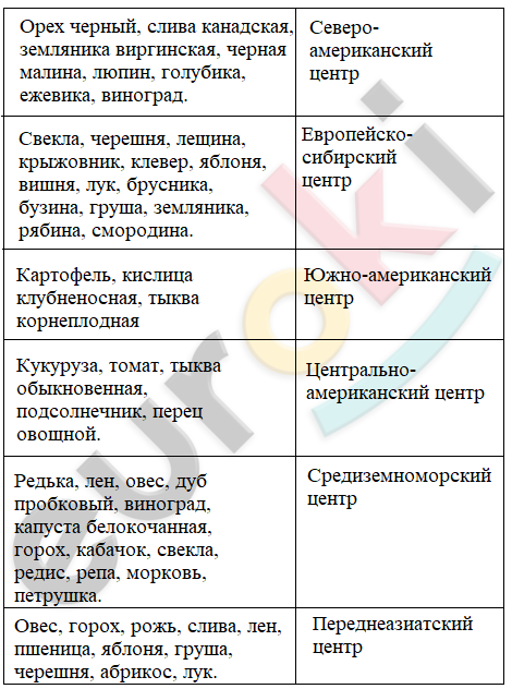 Какие признаки указывают на то что моховидные растения древнее папоротниковидных. Смотреть фото Какие признаки указывают на то что моховидные растения древнее папоротниковидных. Смотреть картинку Какие признаки указывают на то что моховидные растения древнее папоротниковидных. Картинка про Какие признаки указывают на то что моховидные растения древнее папоротниковидных. Фото Какие признаки указывают на то что моховидные растения древнее папоротниковидных