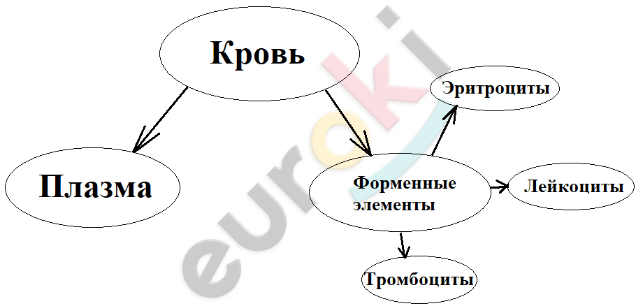 какие жидкости образуют внутреннюю среду организма человека. Смотреть фото какие жидкости образуют внутреннюю среду организма человека. Смотреть картинку какие жидкости образуют внутреннюю среду организма человека. Картинка про какие жидкости образуют внутреннюю среду организма человека. Фото какие жидкости образуют внутреннюю среду организма человека