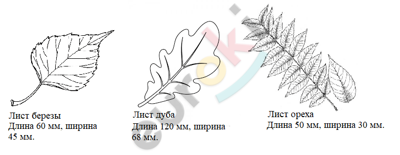 площадь учебника биологии 5 класс