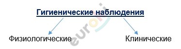 Что изучает анатомия человека 8 класс. Смотреть фото Что изучает анатомия человека 8 класс. Смотреть картинку Что изучает анатомия человека 8 класс. Картинка про Что изучает анатомия человека 8 класс. Фото Что изучает анатомия человека 8 класс