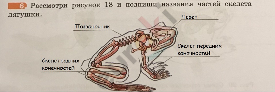 19.1.jpg