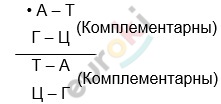 Что общего и какие различия в строении молекул днк и рнк таблица. Смотреть фото Что общего и какие различия в строении молекул днк и рнк таблица. Смотреть картинку Что общего и какие различия в строении молекул днк и рнк таблица. Картинка про Что общего и какие различия в строении молекул днк и рнк таблица. Фото Что общего и какие различия в строении молекул днк и рнк таблица