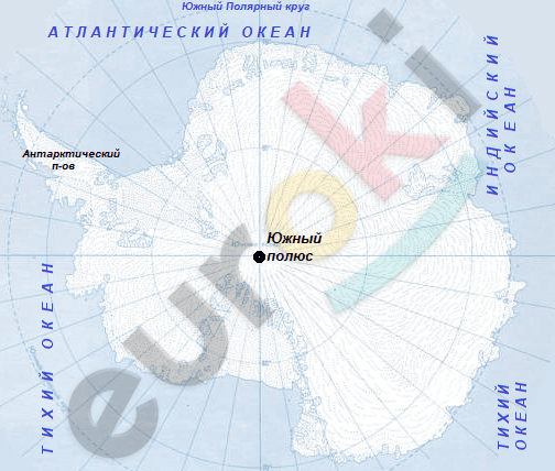 Chart, radar chart Description automatically generated