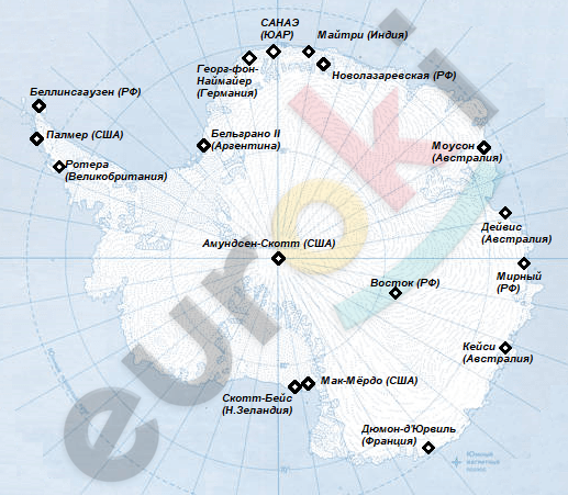 Chart, radar chart Description automatically generated