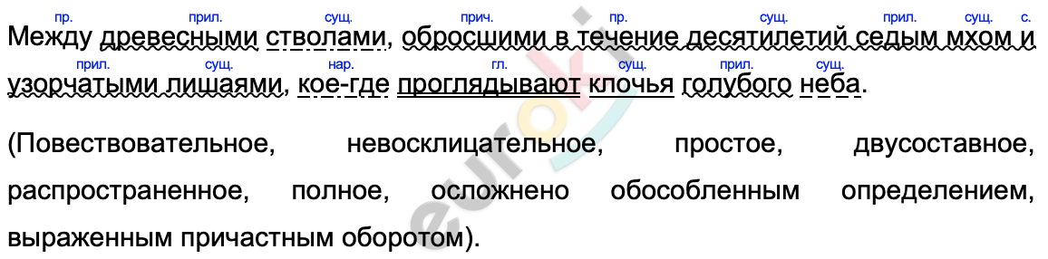 Мы шли по узкой тропинке к лесу выписать словосочетания