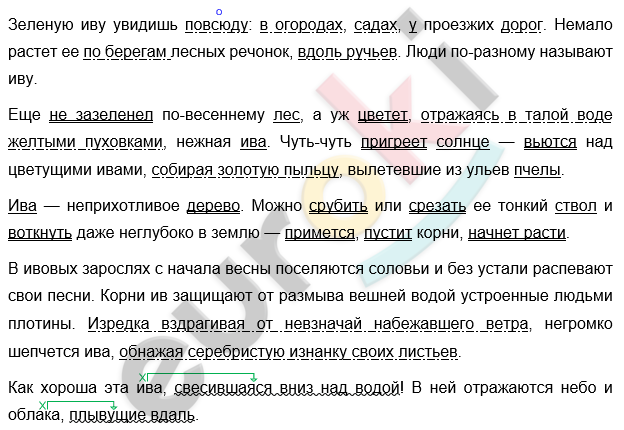 Диктант по русскому языку 7 класс Зеленую иву увидишь повсюду: в огородах, садах