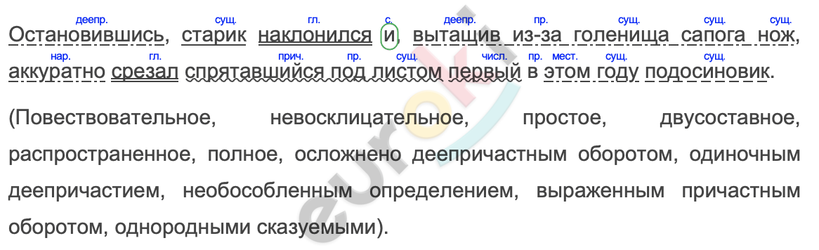 Синтаксический разбор предложения свесившиеся ветви деревьев напоминают. Анализ морфологический еловых веток. Диктант 3 класс 1 четверть с грамматическим заданием.