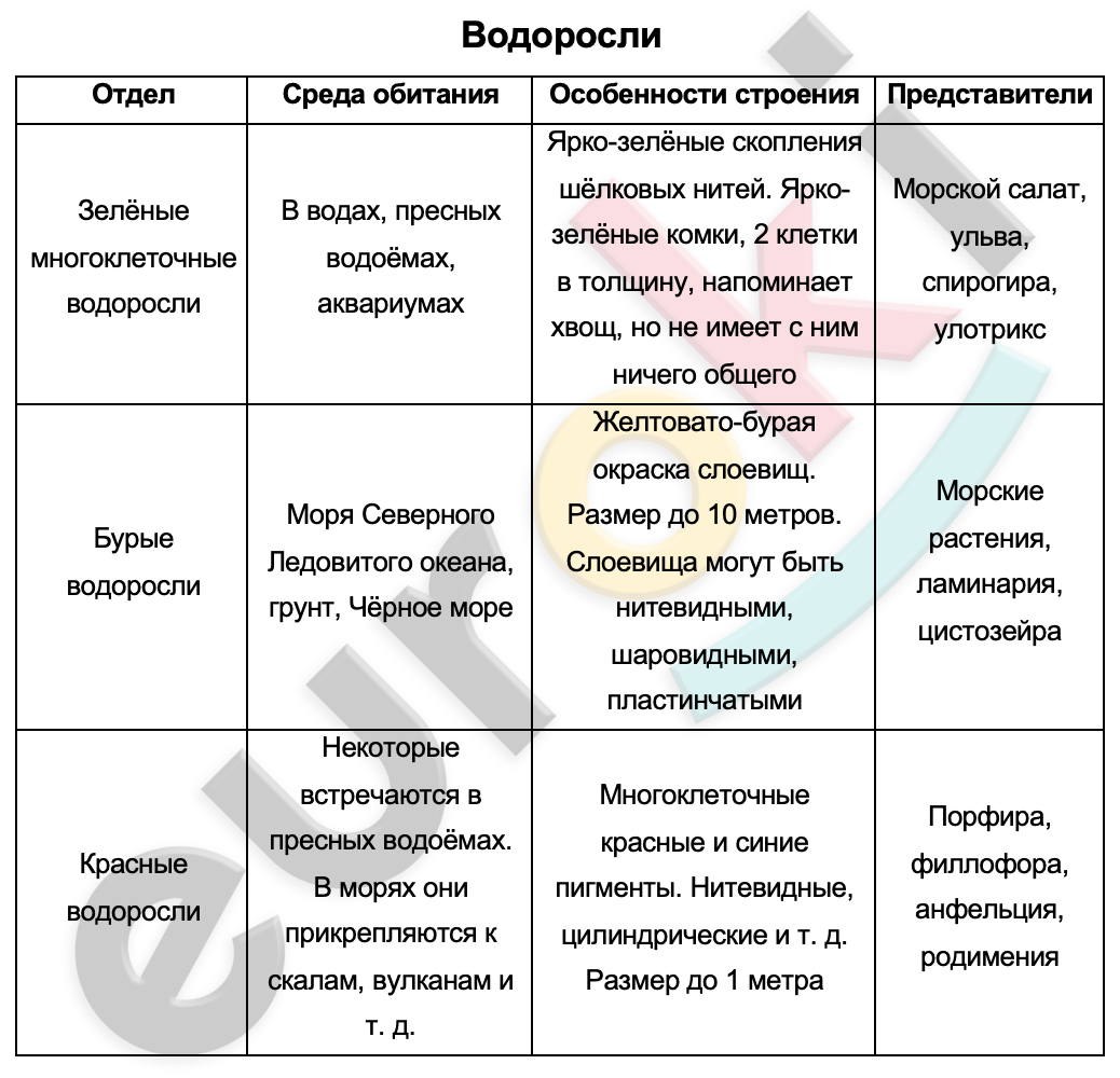 Таблицa по биологии 5 класс Водоросли