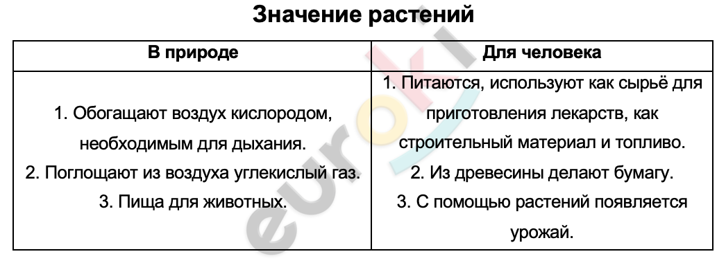 Таблицa по биологии 5 класс Значение растений