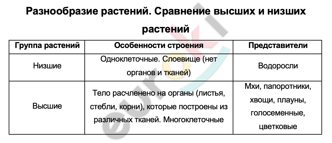 Таблицa по биологии 5 класс Разнообразие растений. Сравнение высших и низших растений