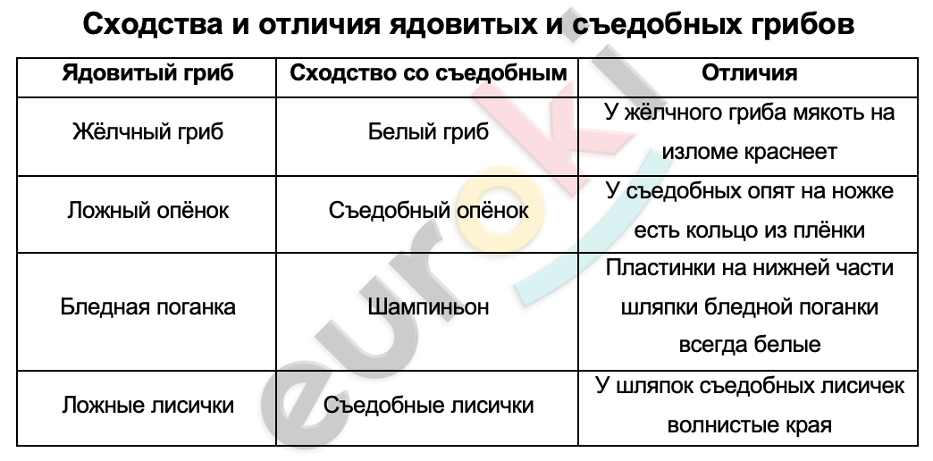 Таблицa по биологии 5 класс Сходства и отличия ядовитых и съедобных грибов