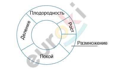 Chart, sunburst chart Description automatically generated