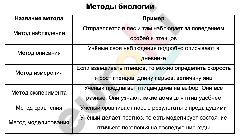 Таблицa по биологии 6 класс Методы биологии