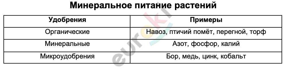 Таблицa по биологии 6 класс Минеральное питание растений