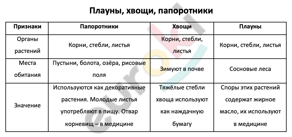 Таблицa по биологии 6 класс Плауны, хвощи, папоротники