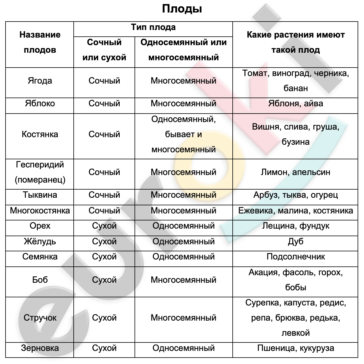 Таблицa по биологии 6 класс Плоды