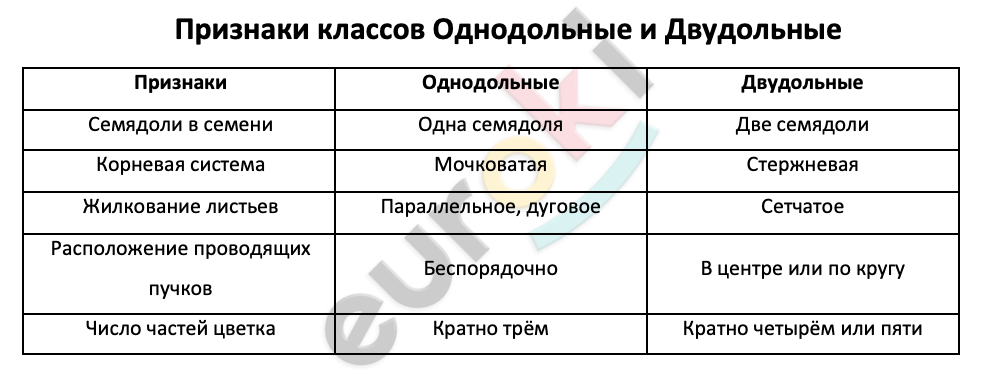 Таблицa по биологии 6 класс Признаки классов Однодольные и Двудольные