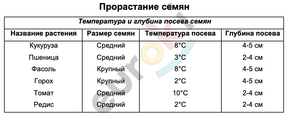 Таблицa по биологии 6 класс Прорастание семян