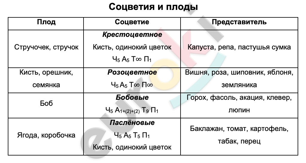 Таблицa по биологии 6 класс Плоды