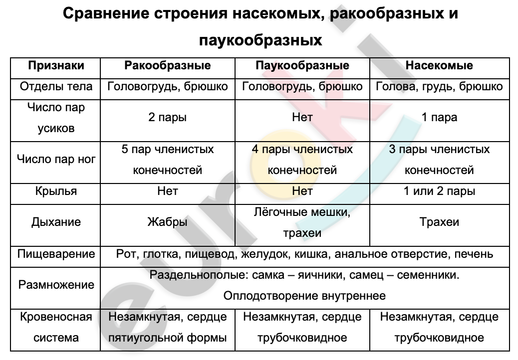 Сходство строения большинства систем органов. Таблица сравнения ракообразных паукообразных и насекомых. Таблица ракообразные паукообразные насекомые. Внутреннее строение насекомых таблица. Сравнение ракообразных и паукообразных.