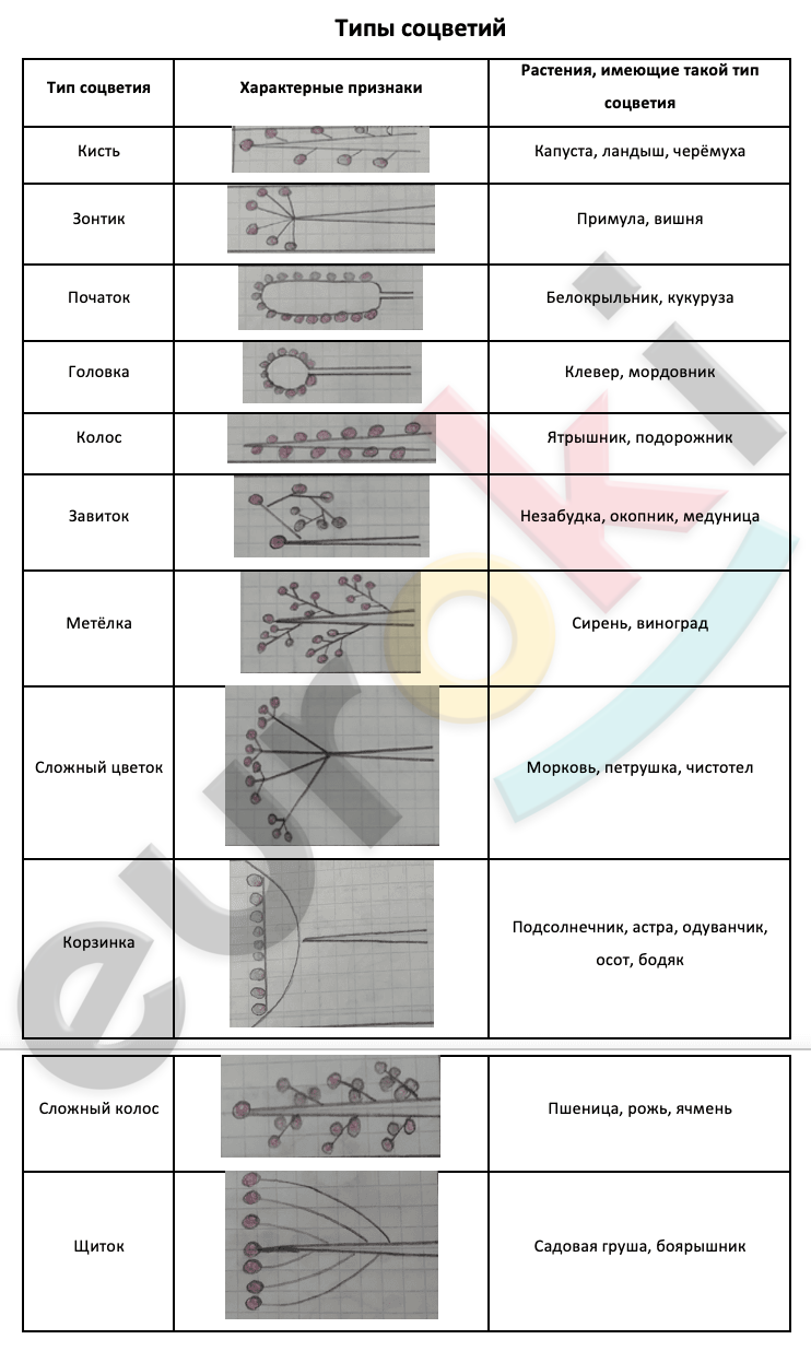 Diagram Description automatically generated