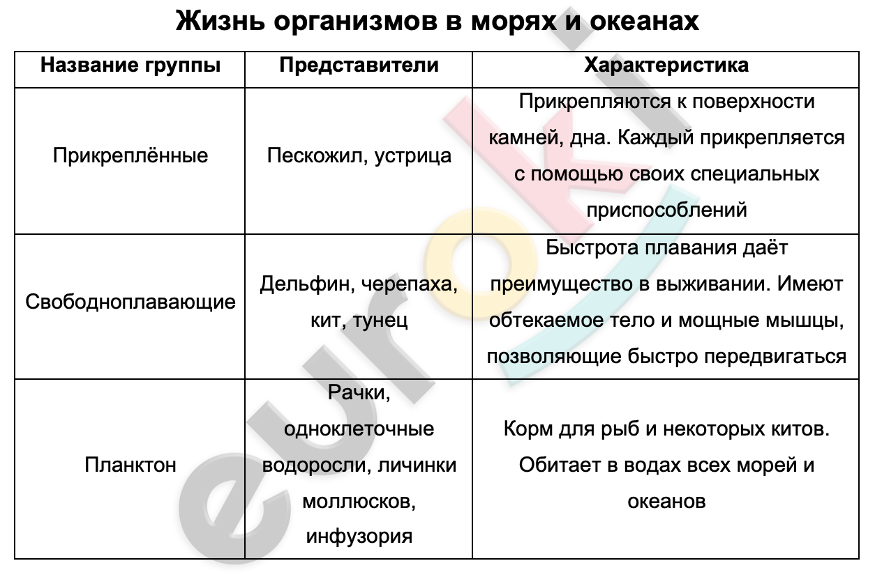 Таблицa по биологии 6 класс Жизнь организмов в морях и океанах