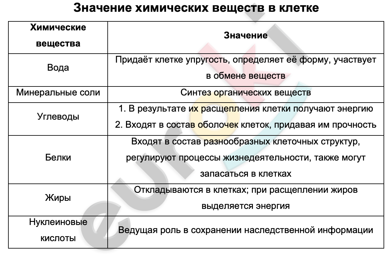 Таблицa по биологии 6 класс Значение химических веществ в клетке