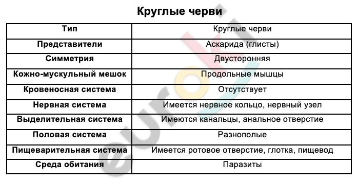 Таблицa по биологии 7 класс Круглые черви