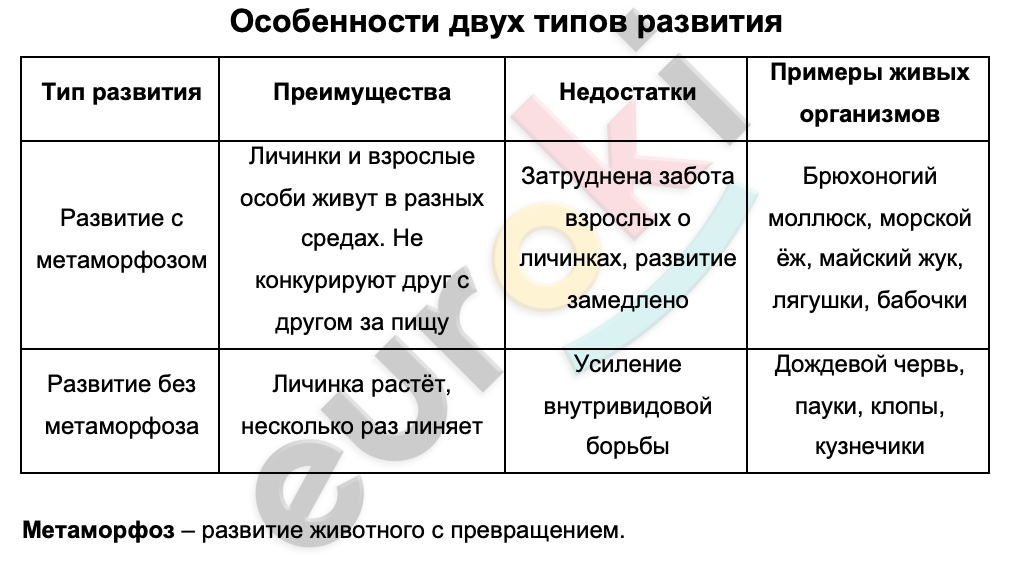 Таблицa по биологии 7 класс Особенности двух типов развития