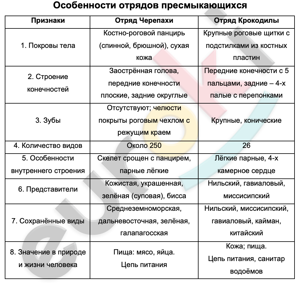 Особенности внешнего строения пресмыкающихся таблица