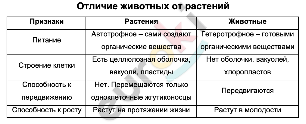 Таблицa по биологии 7 класс Отличие животных от растений