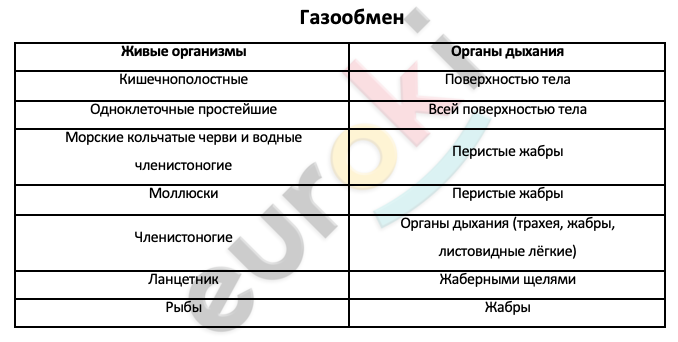 Таблицa по биологии 7 класс Газообмен