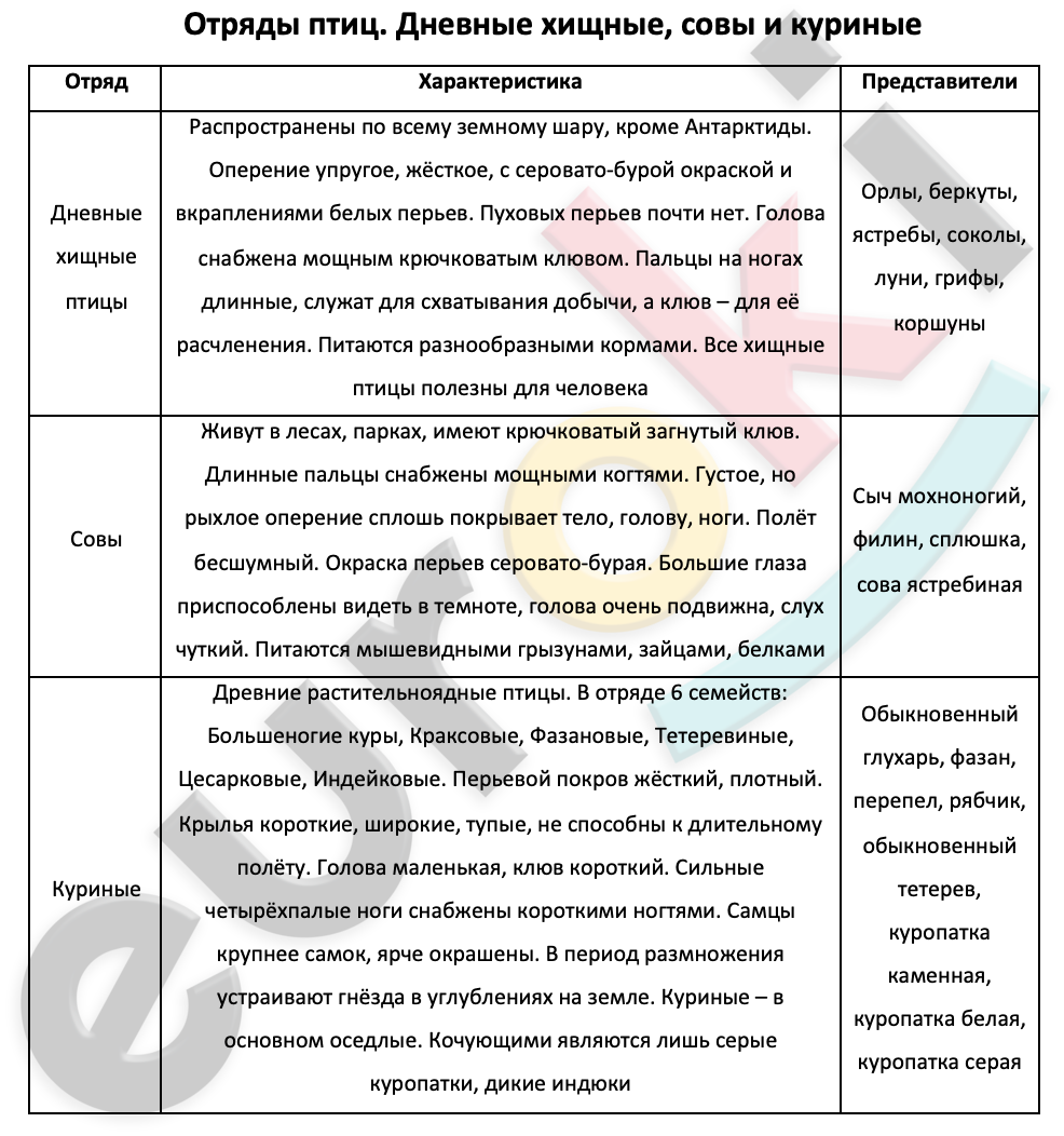 Экологические группы птиц 7 класс биология таблица. Таблица отряды птиц по биологии 7 класс. Характеристика основных отрядов птиц. Таблица характеристика отрядов птиц. Таблица по биологии отряды птиц.