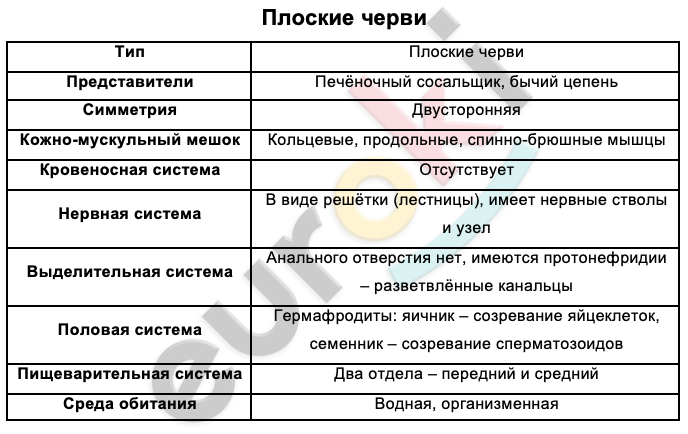 Таблицa по биологии 7 класс Плоские черви